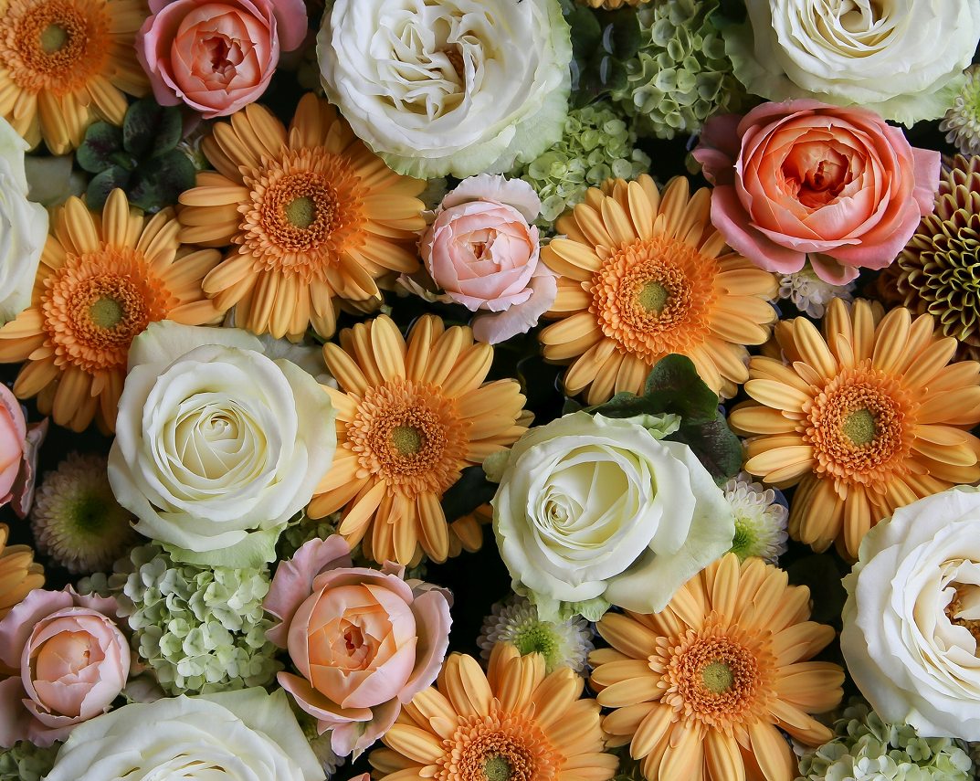 静岡市清水区の花屋「花のナカムラ」