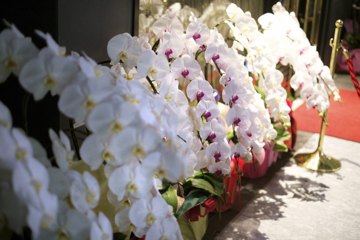 浜松の花贈りは花のナカムラWEB店へ